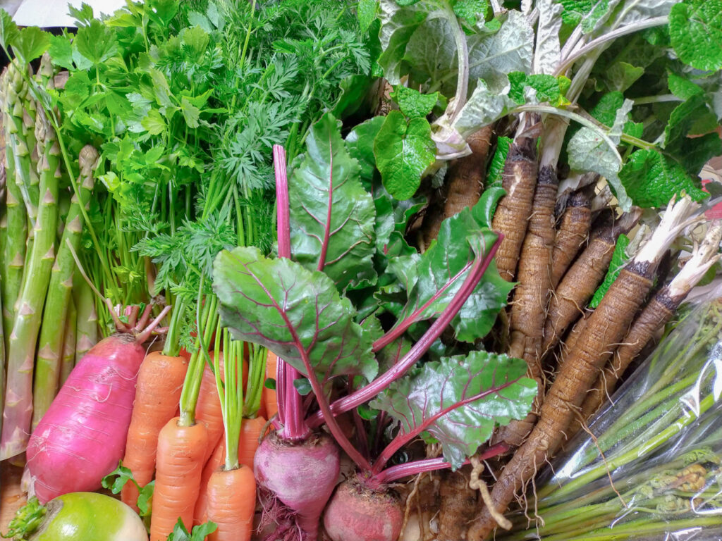 豊富な栽培品種